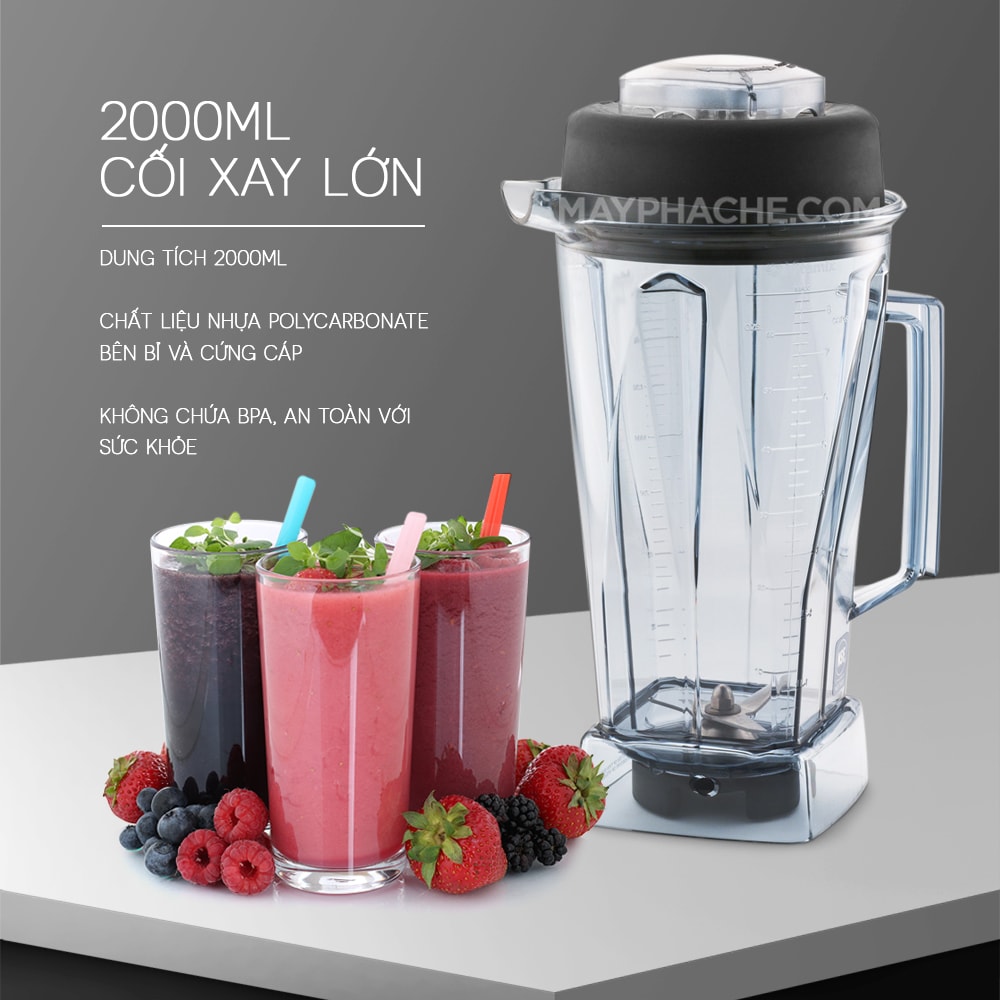 Máy sinh tố Vitamix Vita Prep-3